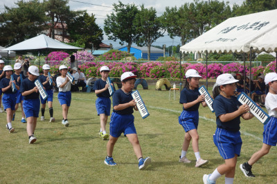 DSC06154