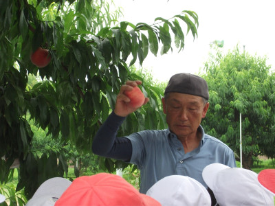 DSCF6040
