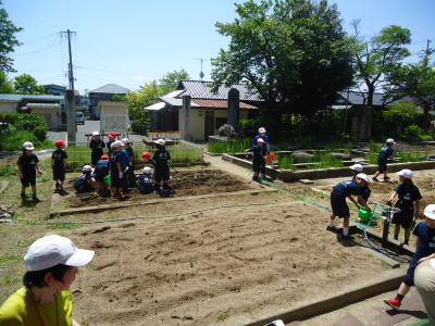 DSC09796