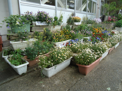 DSC00425