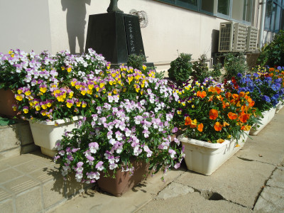 DSC00068