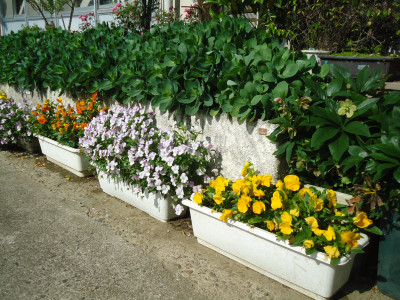 DSC00071
