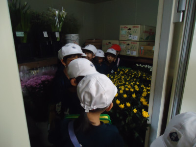 DSC00555