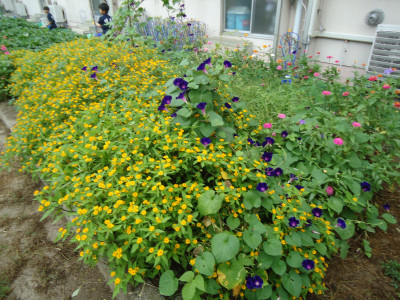 DSC01802