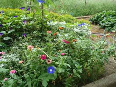 DSC01823