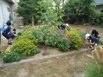 DSC01940
