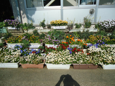 DSC00242