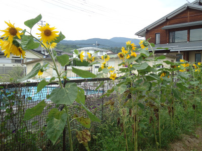 DSC01960