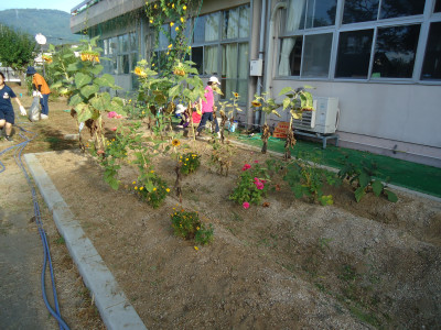 DSC01990