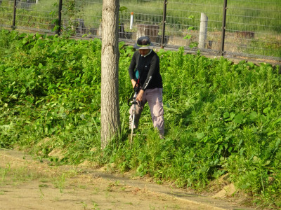 DSC01998