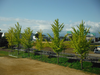 DSCF6016